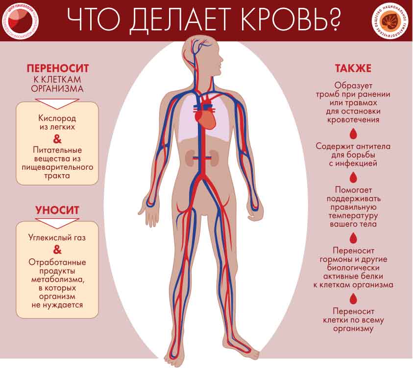 Инфографика «Признаки и симптомы неходжкинской лимфомы», разработанная специалистами ФГБУ «НМИЦ гематологии» Минздрава России